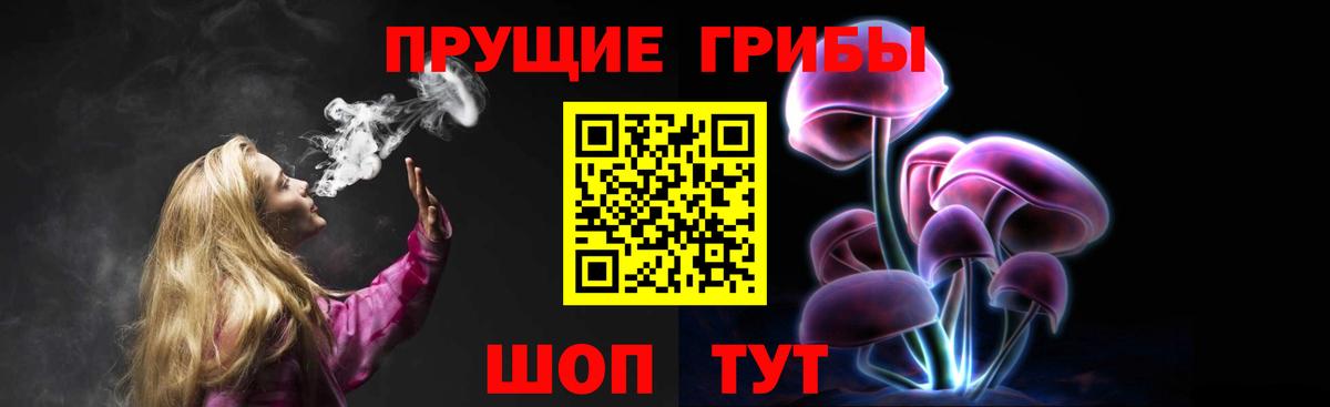 Таганрог  Галлюциногенные грибы Cubensis  Вход с VPN 